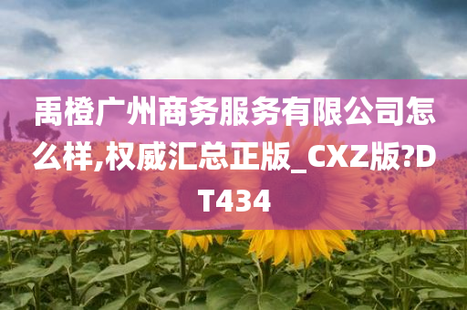 禹橙广州商务服务有限公司怎么样,权威汇总正版_CXZ版?DT434