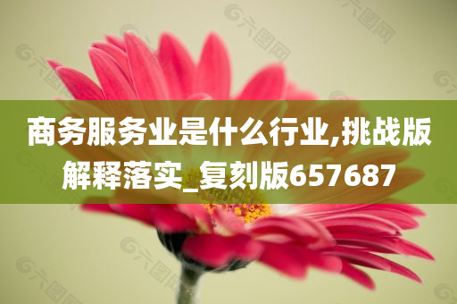 商务服务业是什么行业,挑战版解释落实_复刻版657687