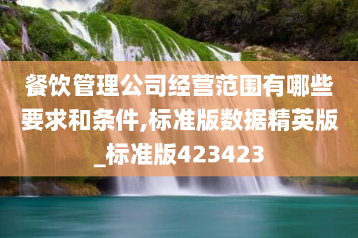 餐饮管理公司经营范围有哪些要求和条件,标准版数据精英版_标准版423423