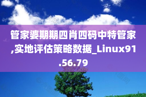 管家婆期期四肖四码中特管家,实地评估策略数据_Linux91.56.79