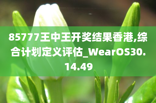 85777王中王开奖结果香港,综合计划定义评估_WearOS30.14.49