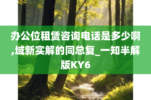 办公位租赁咨询电话是多少啊,域新实解的同总复_一知半解版KY6