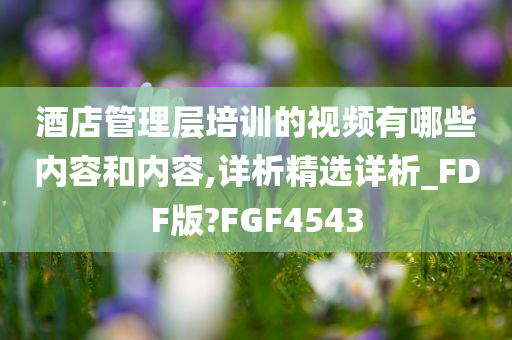 酒店管理层培训的视频有哪些内容和内容,详析精选详析_FDF版?FGF4543