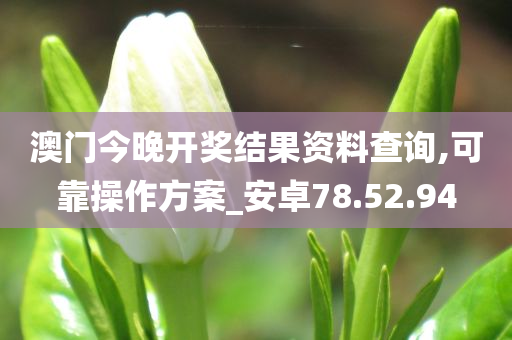 澳门今晚开奖结果资料查询,可靠操作方案_安卓78.52.94