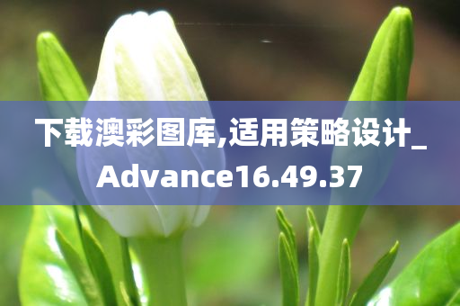 下载澳彩图库,适用策略设计_Advance16.49.37