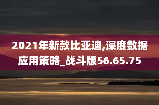 2021年新款比亚迪,深度数据应用策略_战斗版56.65.75