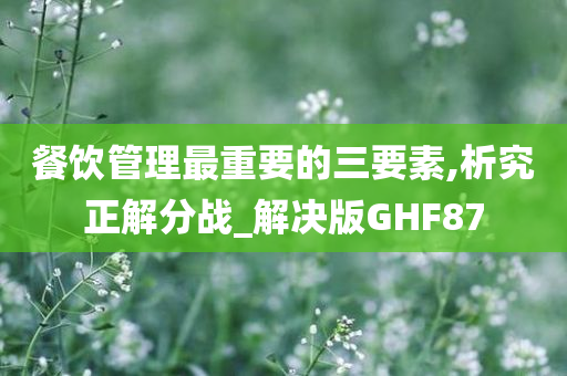 餐饮管理最重要的三要素,析究正解分战_解决版GHF87