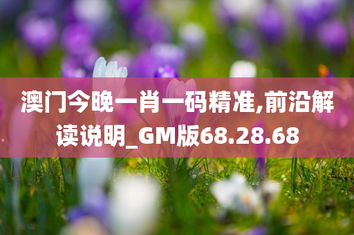 澳门今晚一肖一码精准,前沿解读说明_GM版68.28.68