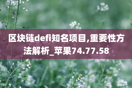 区块链defi知名项目,重要性方法解析_苹果74.77.58