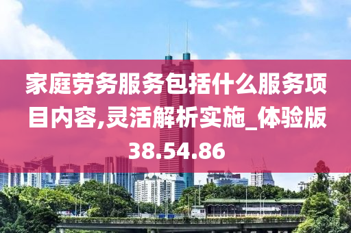 家庭劳务服务包括什么服务项目内容,灵活解析实施_体验版38.54.86