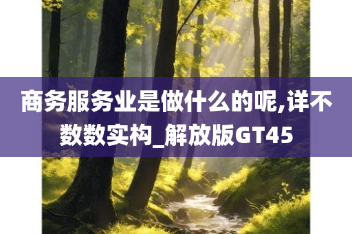 商务服务业是做什么的呢,详不数数实构_解放版GT45