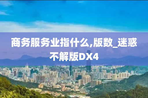 商务服务业指什么,版数_迷惑不解版DX4