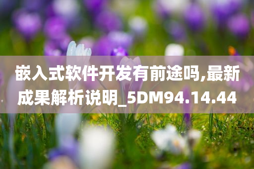 嵌入式软件开发有前途吗,最新成果解析说明_5DM94.14.44