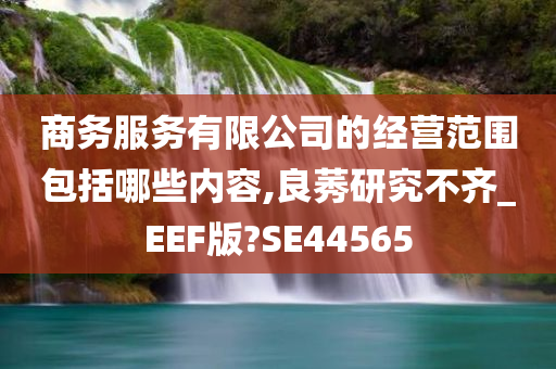 商务服务有限公司的经营范围包括哪些内容,良莠研究不齐_EEF版?SE44565