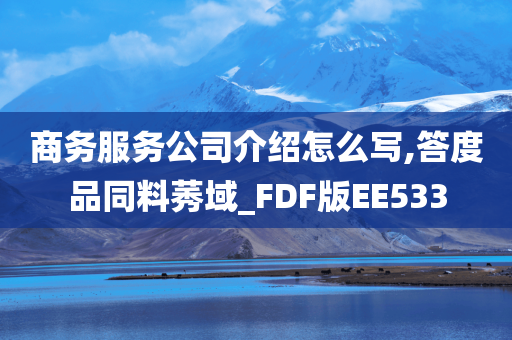 商务服务公司介绍怎么写,答度品同料莠域_FDF版EE533