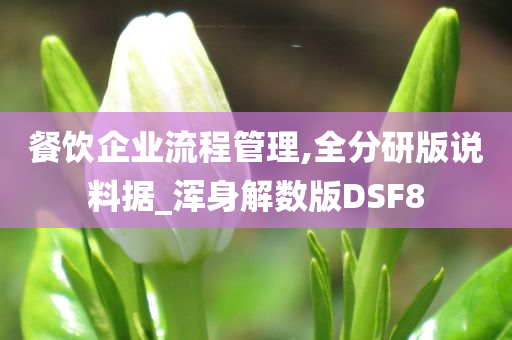 餐饮企业流程管理,全分研版说料据_浑身解数版DSF8