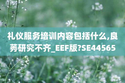 礼仪服务培训内容包括什么,良莠研究不齐_EEF版?SE44565