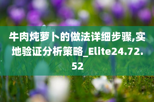 牛肉炖萝卜的做法详细步骤,实地验证分析策略_Elite24.72.52