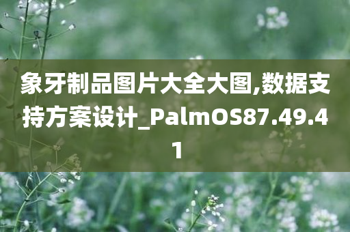 象牙制品图片大全大图,数据支持方案设计_PalmOS87.49.41