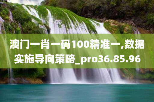 澳门一肖一码100精准一,数据实施导向策略_pro36.85.96