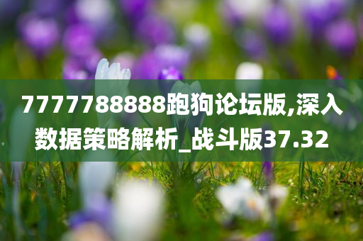 7777788888跑狗论坛版,深入数据策略解析_战斗版37.32