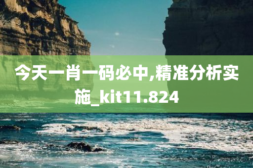 今天一肖一码必中,精准分析实施_kit11.824