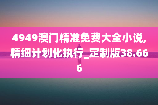 4949澳门精准免费大全小说,精细计划化执行_定制版38.666