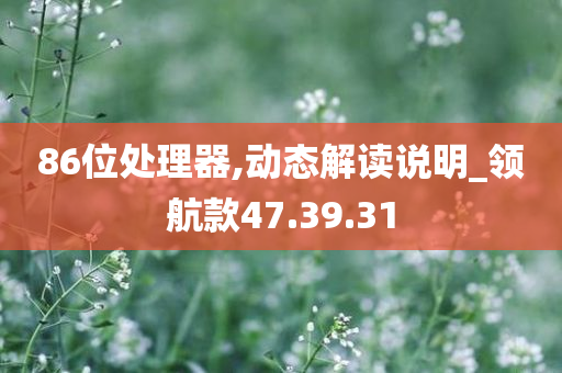 86位处理器,动态解读说明_领航款47.39.31