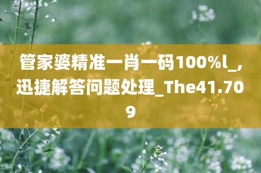 管家婆精准一肖一码100%l_,迅捷解答问题处理_The41.709