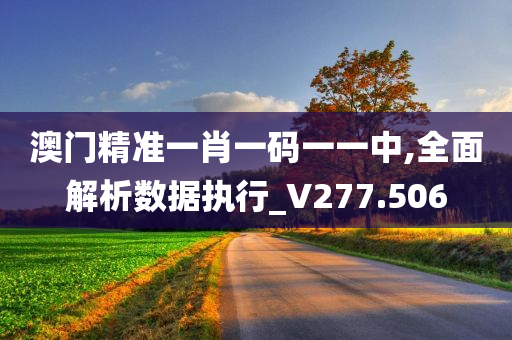 澳门精准一肖一码一一中,全面解析数据执行_V277.506