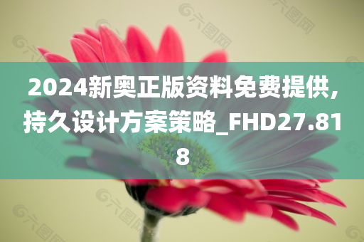 2024新奥正版资料免费提供,持久设计方案策略_FHD27.818