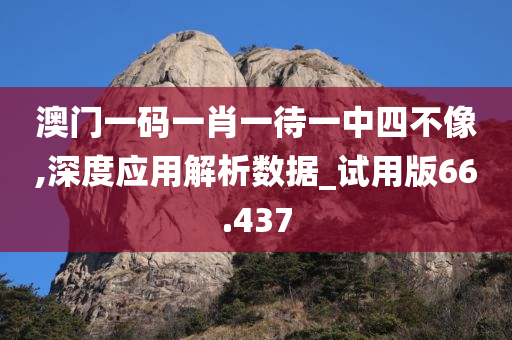 澳门一码一肖一待一中四不像,深度应用解析数据_试用版66.437