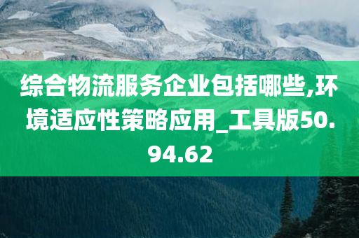 综合物流服务企业包括哪些,环境适应性策略应用_工具版50.94.62