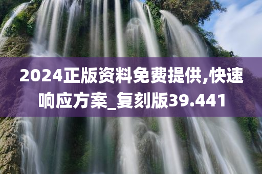 2024正版资料免费提供,快速响应方案_复刻版39.441