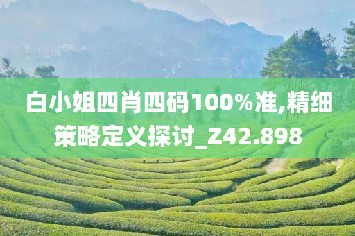 白小姐四肖四码100%准,精细策略定义探讨_Z42.898