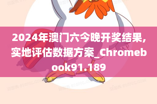 2024年澳门六今晚开奖结果,实地评估数据方案_Chromebook91.189