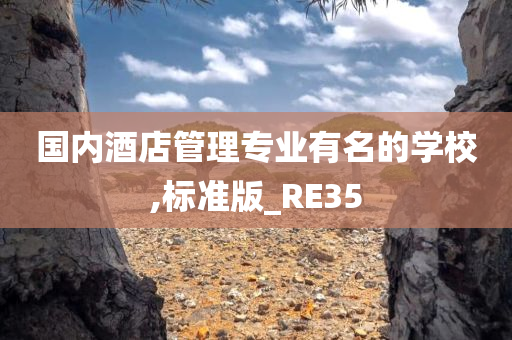 国内酒店管理专业有名的学校,标准版_RE35