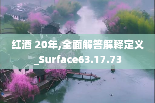 红酒 20年,全面解答解释定义_Surface63.17.73