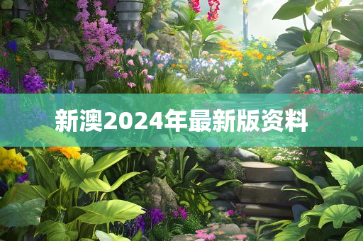 新澳2024年最新版资料