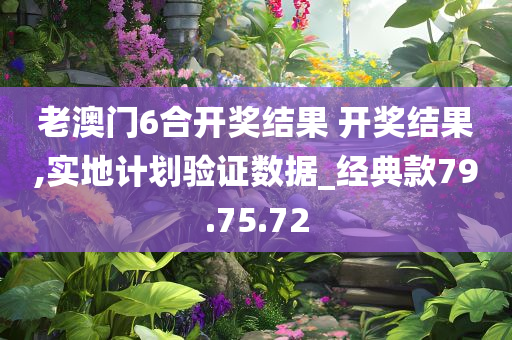 老澳门6合开奖结果 开奖结果,实地计划验证数据_经典款79.75.72