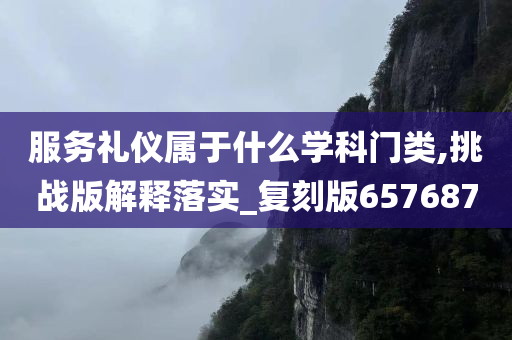 服务礼仪属于什么学科门类,挑战版解释落实_复刻版657687