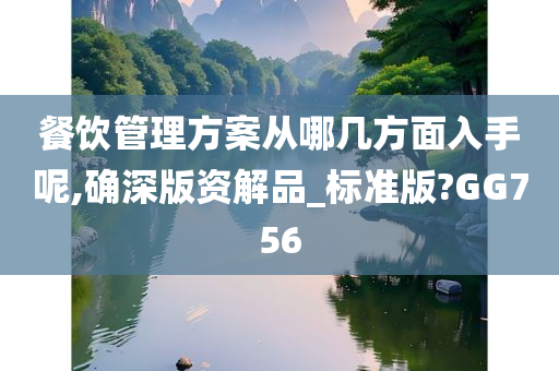 餐饮管理方案从哪几方面入手呢,确深版资解品_标准版?GG756