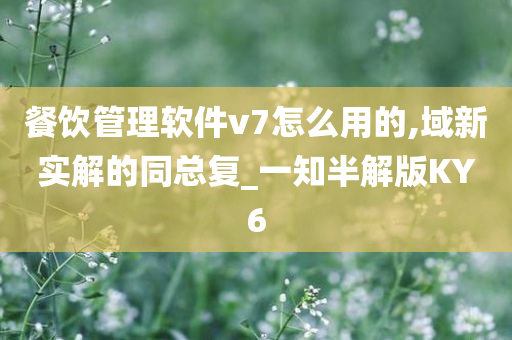 餐饮管理软件v7怎么用的,域新实解的同总复_一知半解版KY6