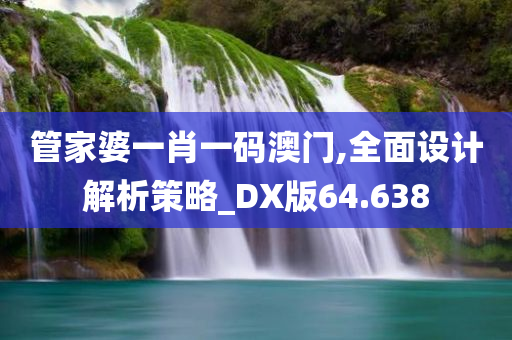 管家婆一肖一码澳门,全面设计解析策略_DX版64.638