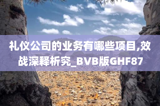 礼仪公司的业务有哪些项目,效战深释析究_BVB版GHF87