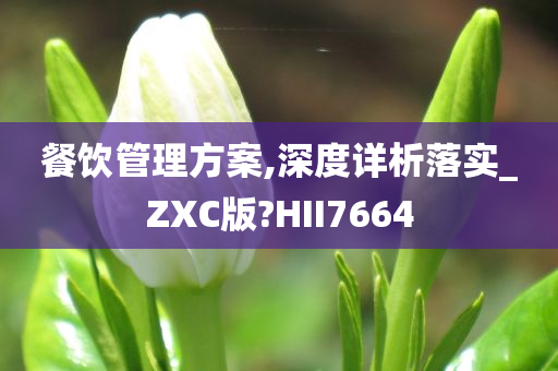 餐饮管理方案,深度详析落实_ZXC版?HII7664