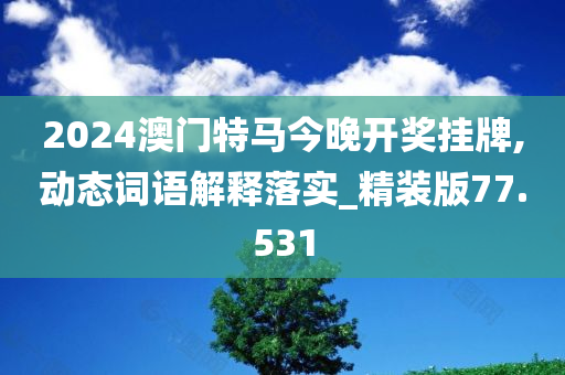 2024澳门特马今晚开奖挂牌,动态词语解释落实_精装版77.531