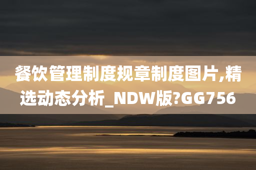 餐饮管理制度规章制度图片,精选动态分析_NDW版?GG756