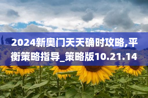 2024新奥门天天确时攻略,平衡策略指导_策略版10.21.14