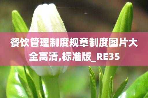 餐饮管理制度规章制度图片大全高清,标准版_RE35